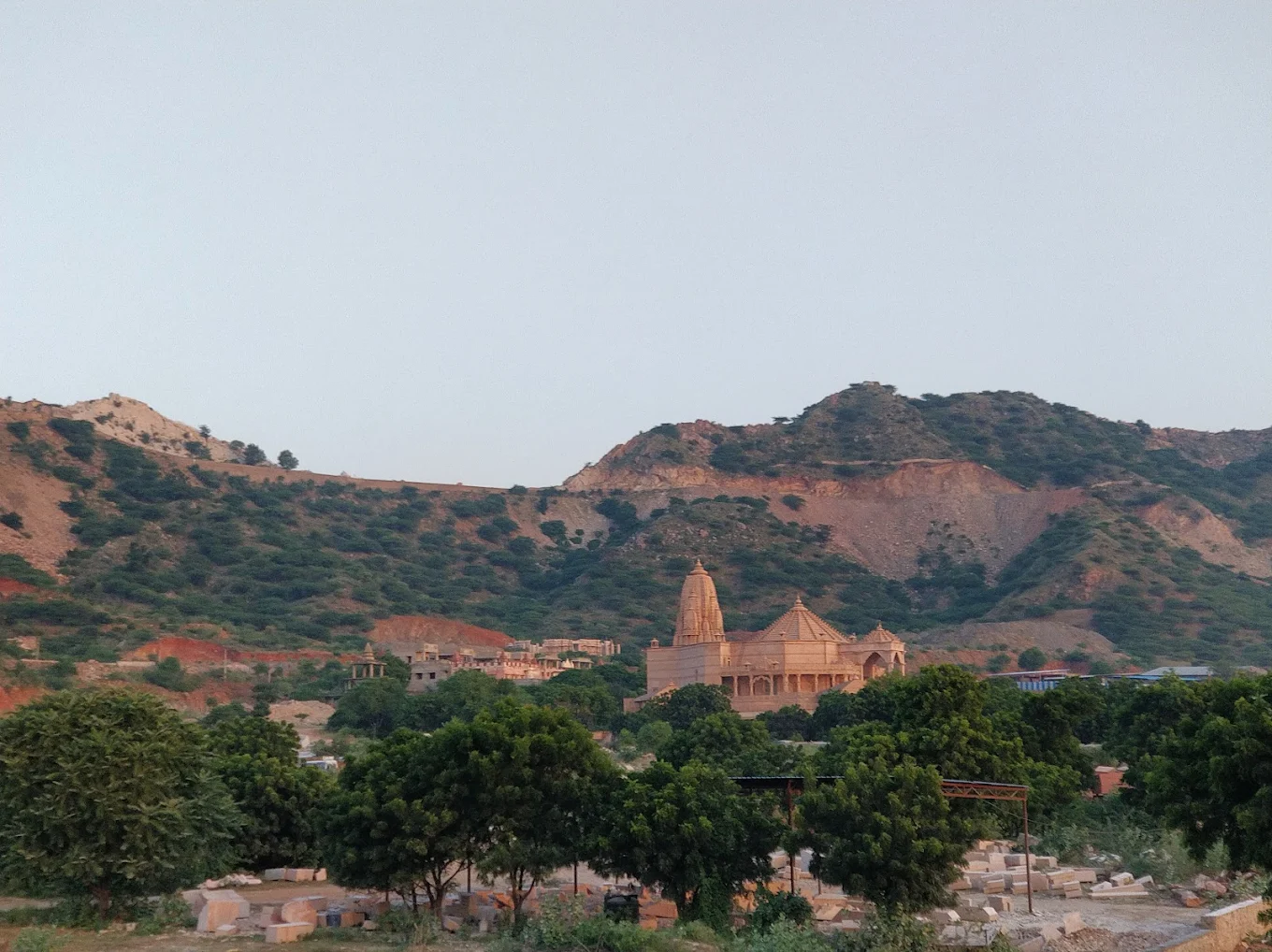 Nareli Temple Architecture